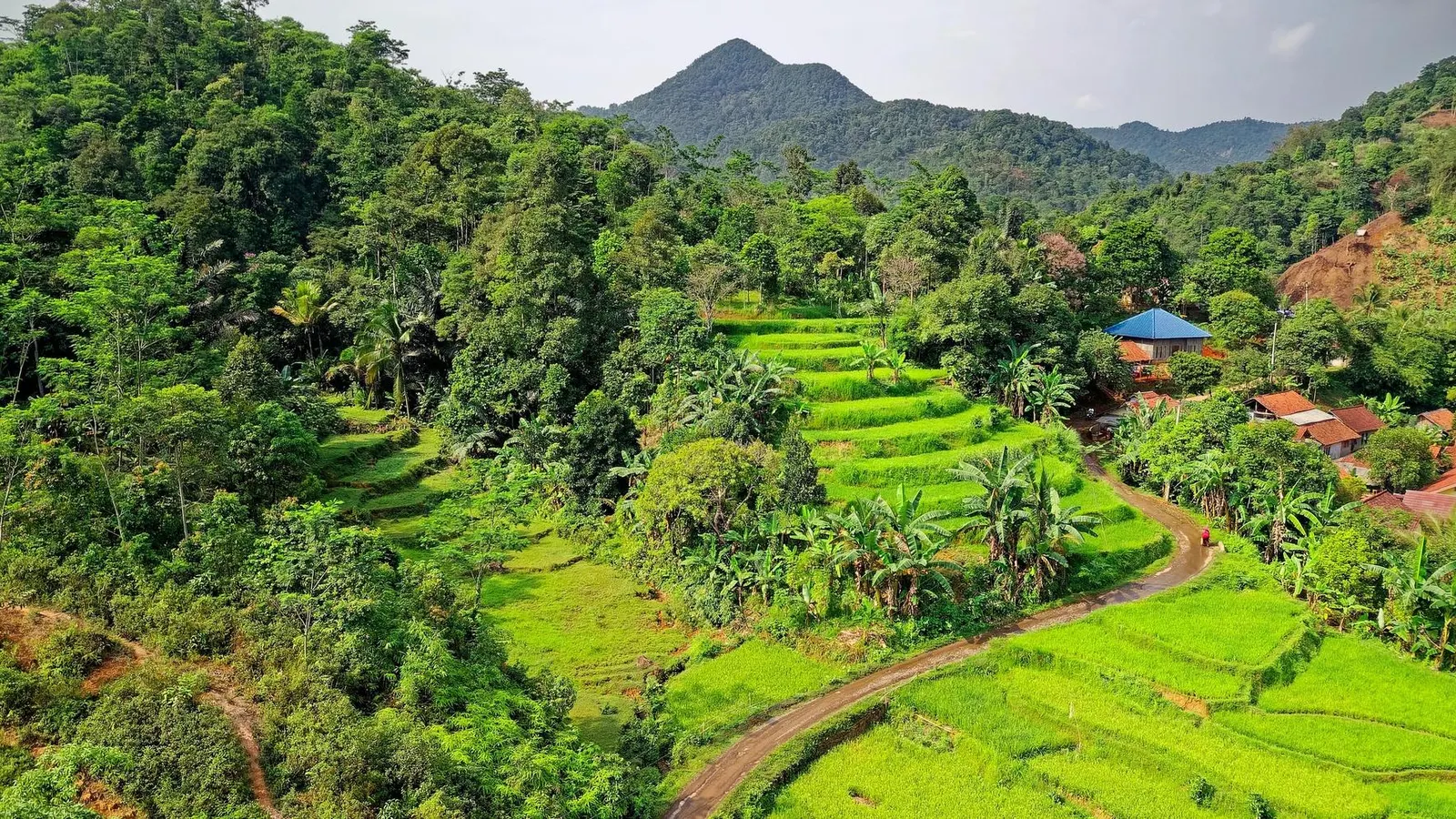 Riau’s Quest For Ecosystem Revival Amid Adversity